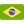 brasil flag